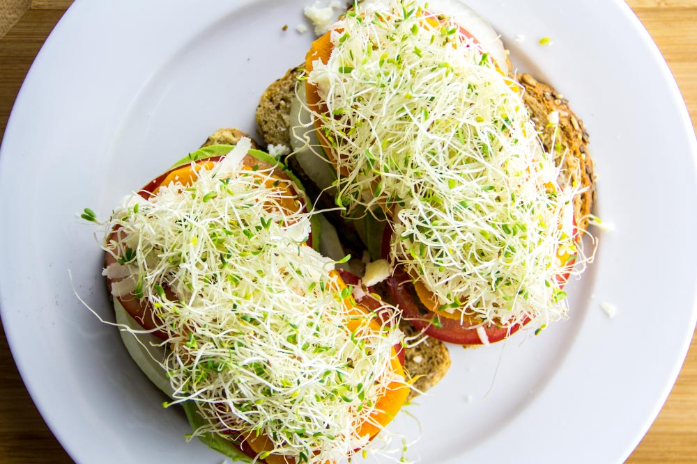 Adding Alfalfa Sprouts to Sandwich