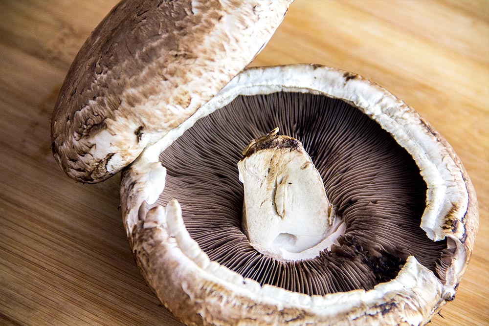 Portobello Mushrooms