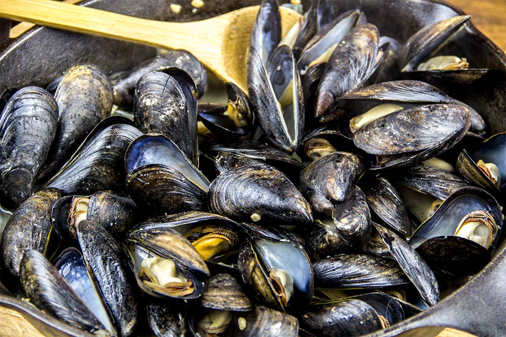 Steamed Mussels