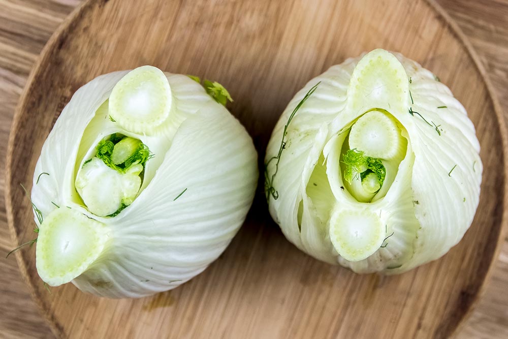 Top View of Trimmed Fennel Bulbs
