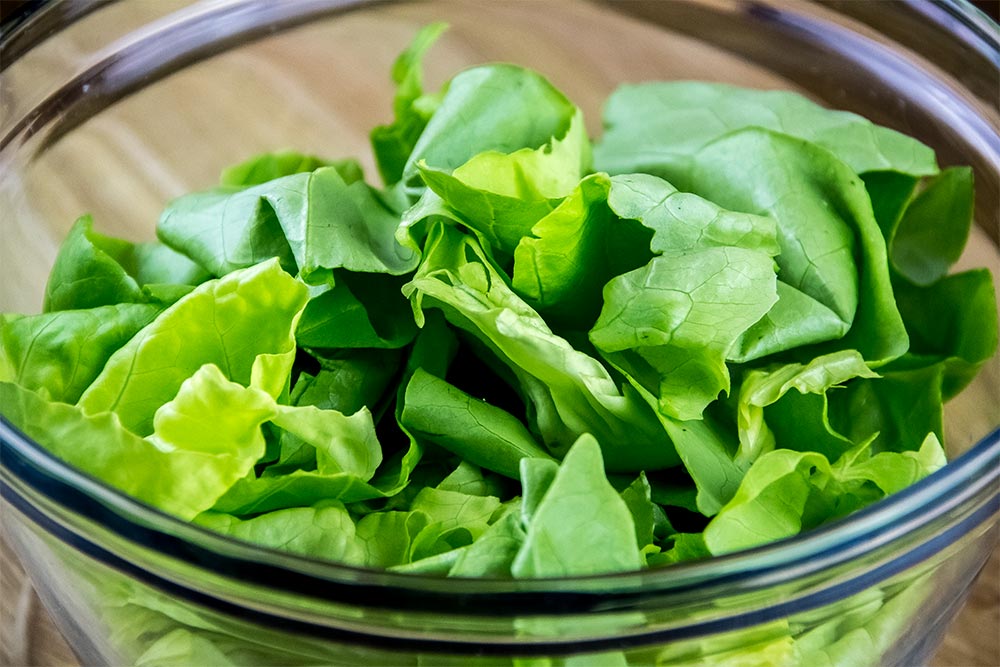 Boston Lettuce