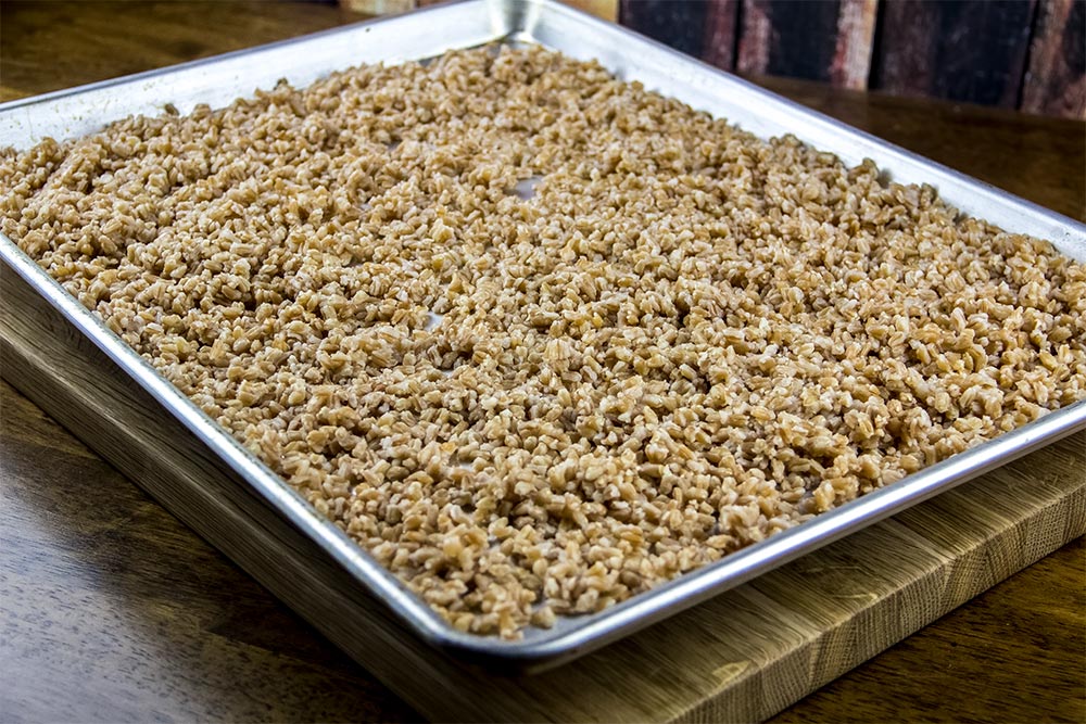 Cooling Farro on Large Baking Sheet