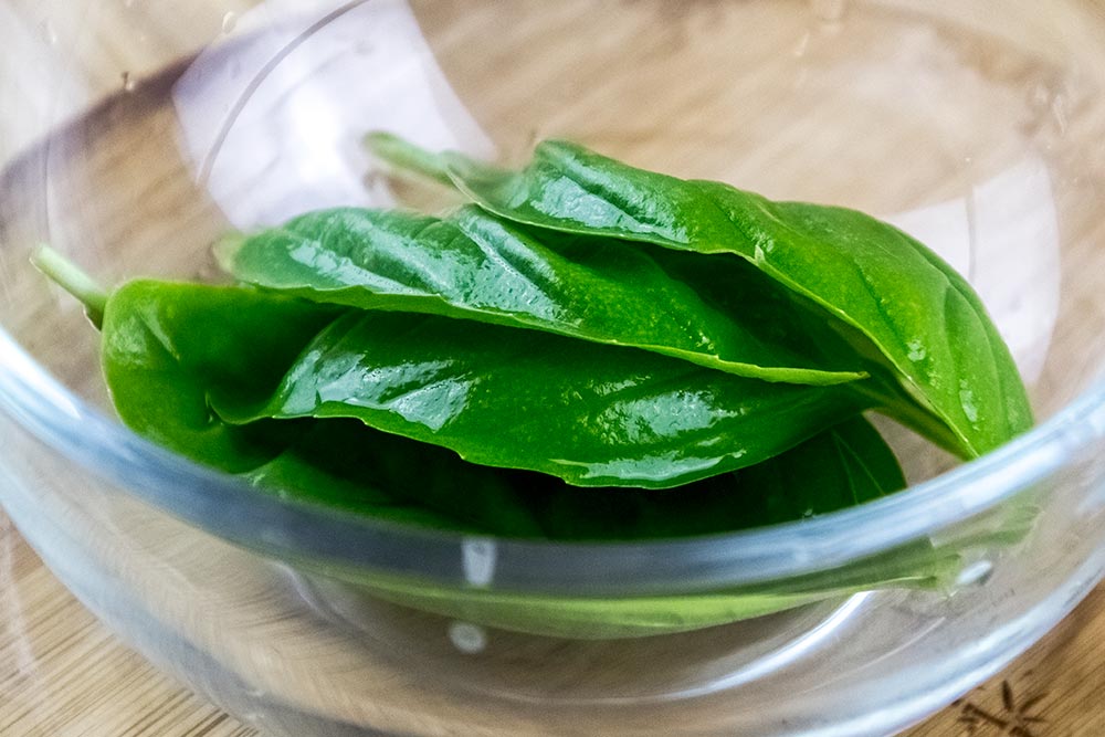 Fresh Basil Leaves