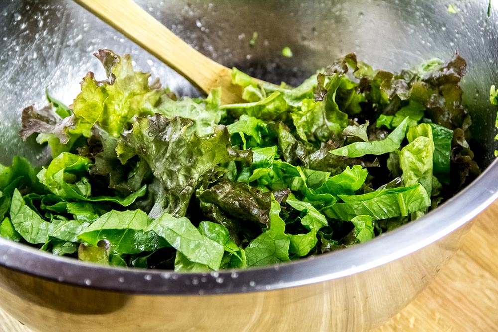 Red and Romaine Lettuce