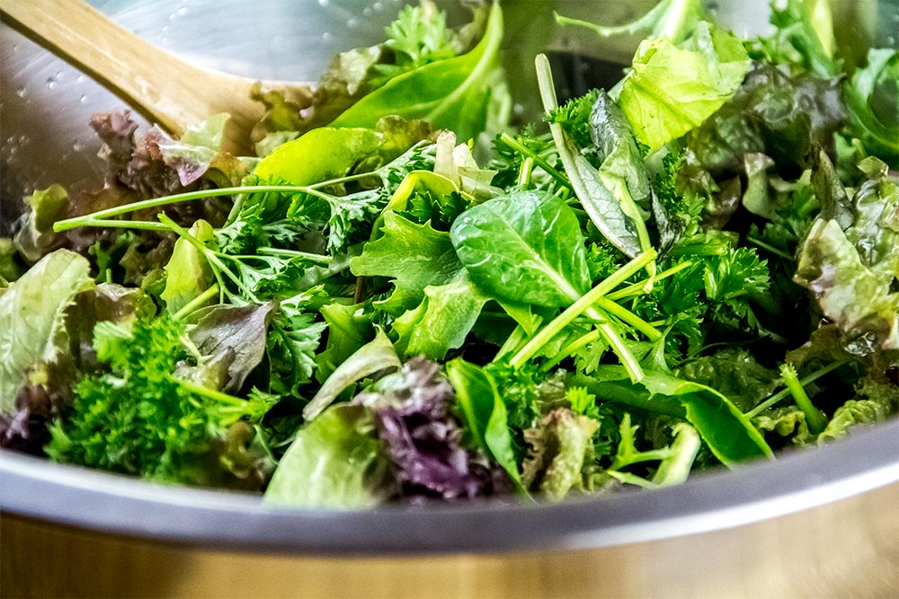 Salad Greens