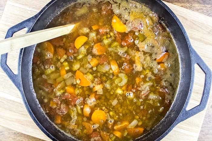 Vegetable Lentil Soup