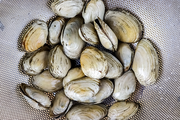 Littleneck Clams