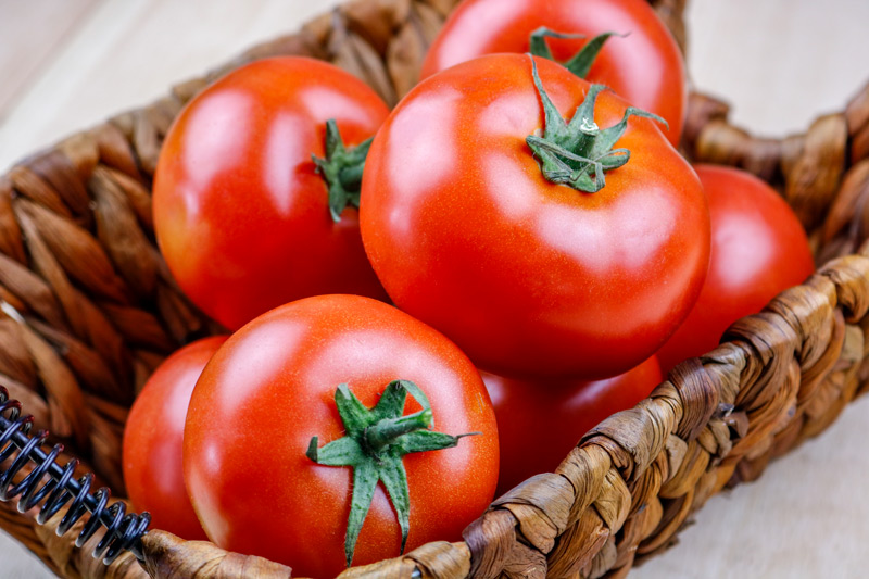 Tomatoes On The Vine