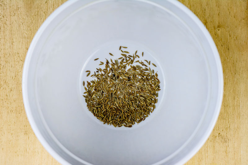 Bowl of Cumin Seeds