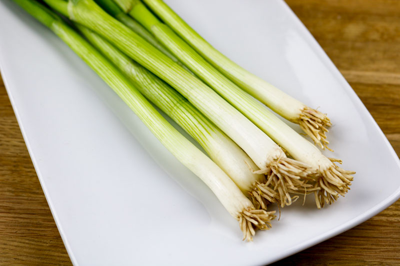 Scallions