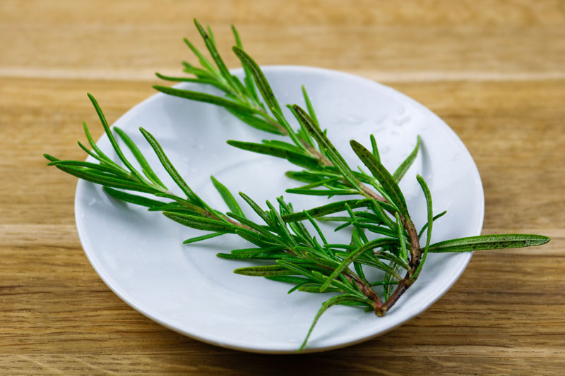 Spring Of Rosemary 8-19